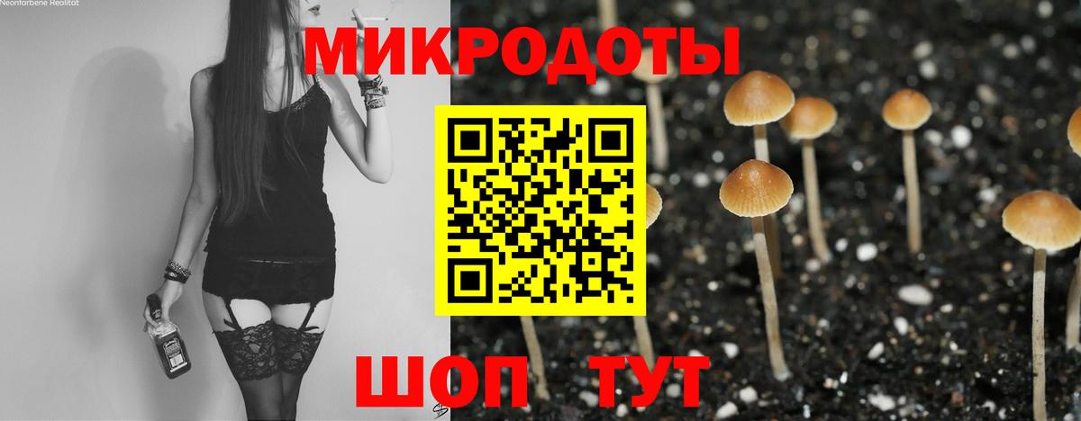 Псилоцибиновые грибы прущие грибы Липецк