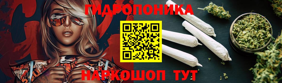 Конопля OG Kush  Шишки марихуана индика  Каннабис план  Липецк  Вход с VPN 